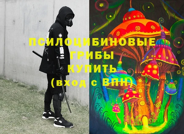 дживик Горнозаводск