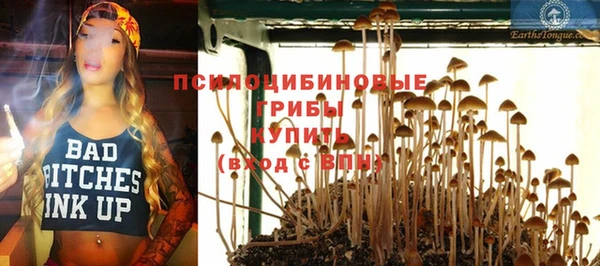 mdpv Горняк