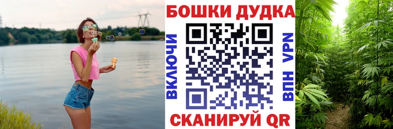 как найти наркотики  Сунжа  Каннабис MAZAR 